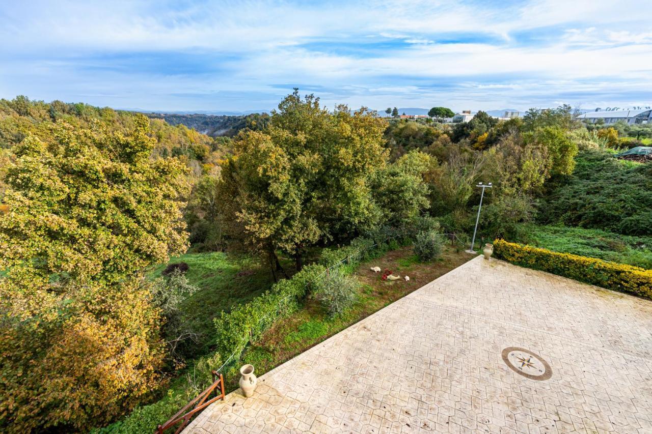 Il Contado B&B Castel Sant'Elia Exterior photo